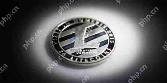 美国sec再延长canary capital的ltc现货etf详解!但年底过关机率仍被看好